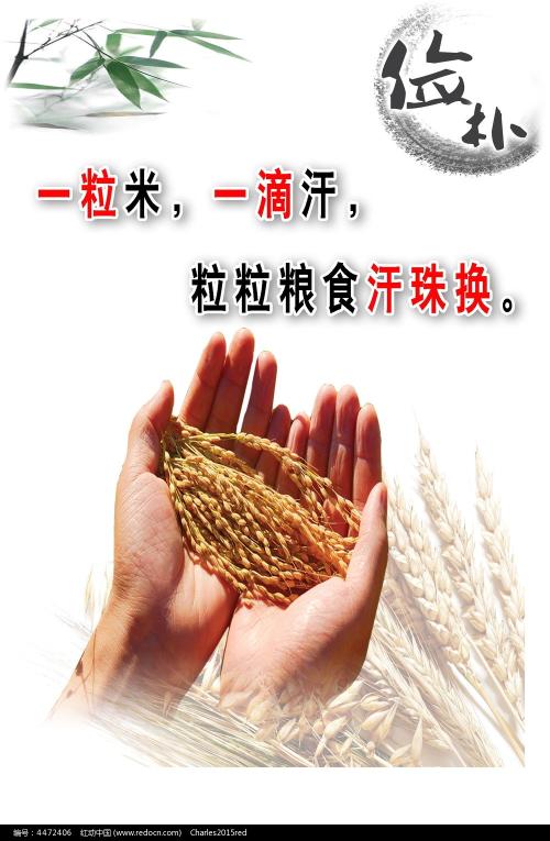 高中毕业证的编号哪里可以查到